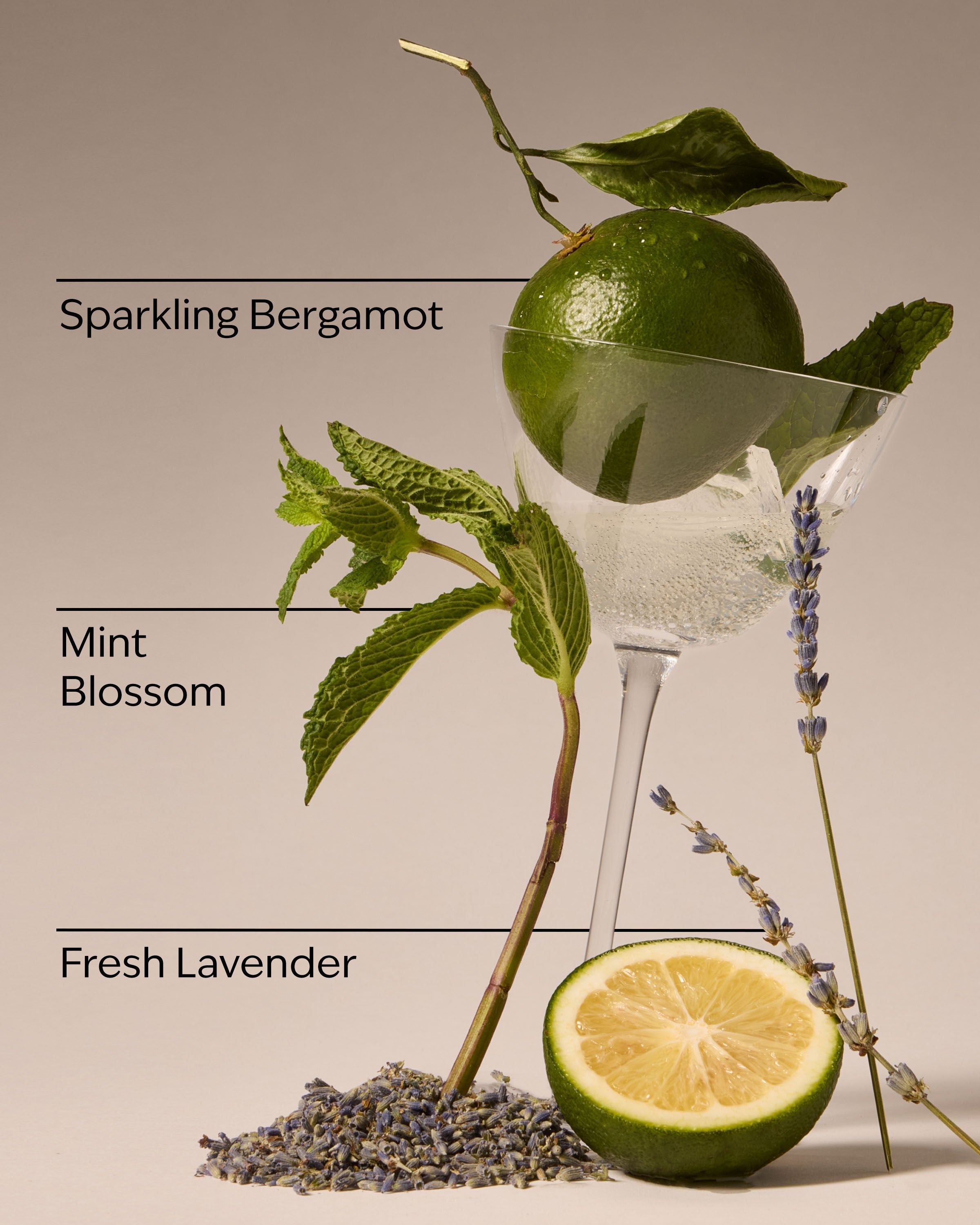 Clean House Vibes Gift Set