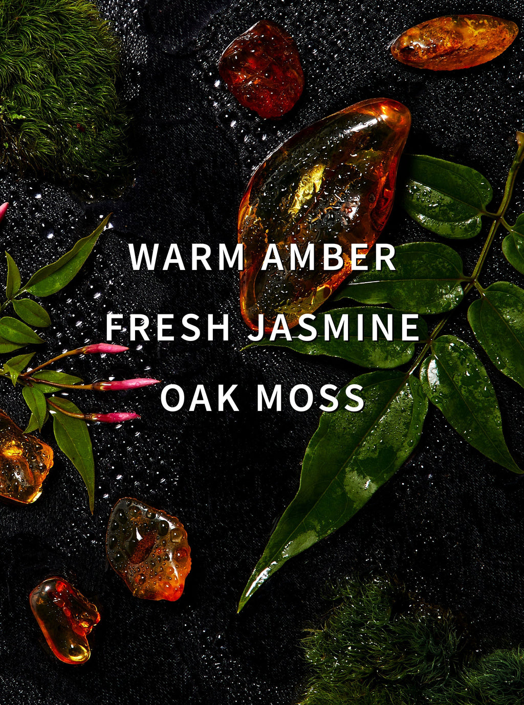 Amber Blush Laundry Detergent