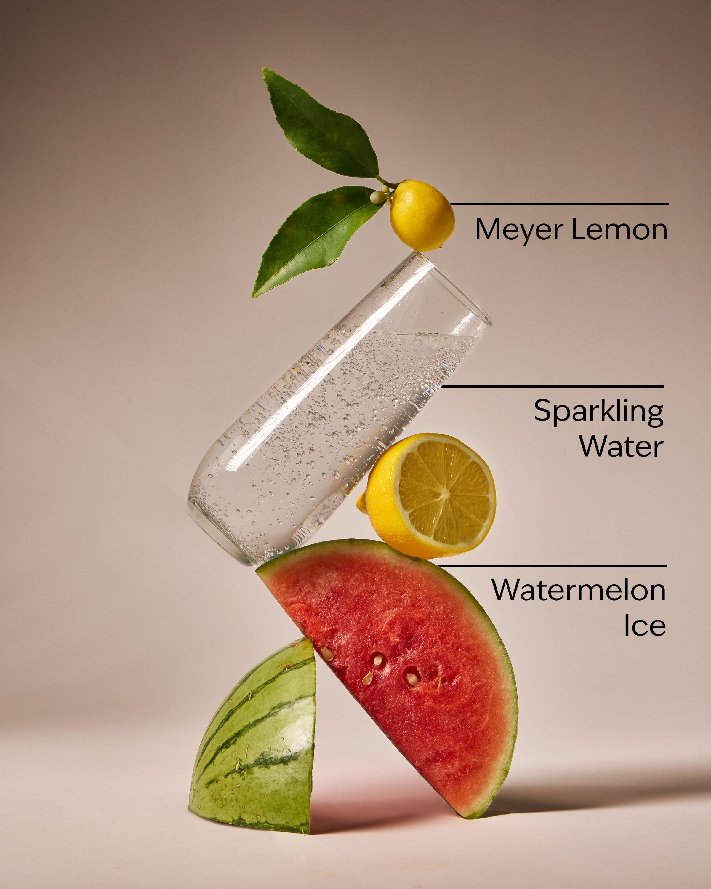 Watermelon Lemonade Wallflowers Refills 2-Pack