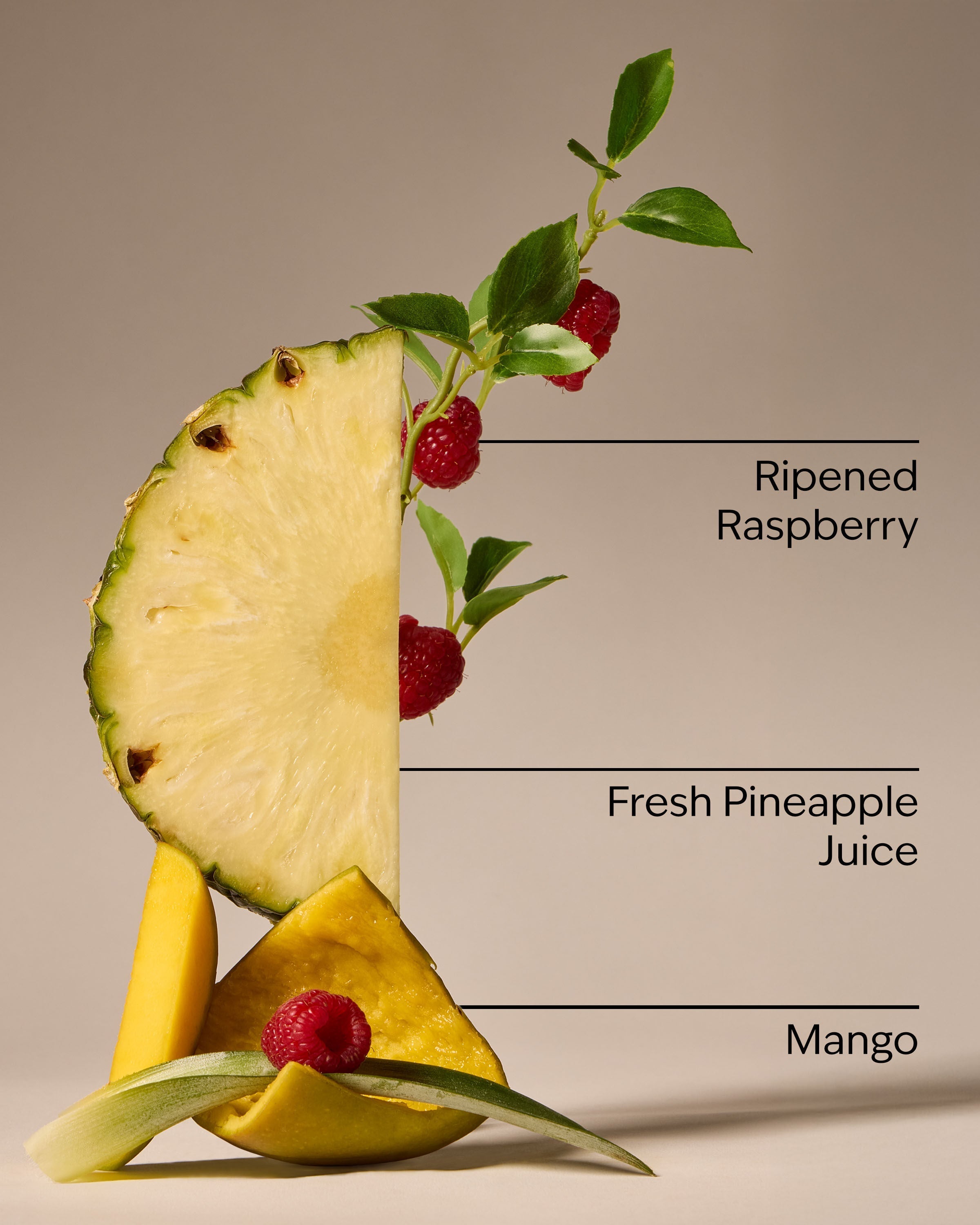 Pineapple Mango Wallflowers Fragrance Refill