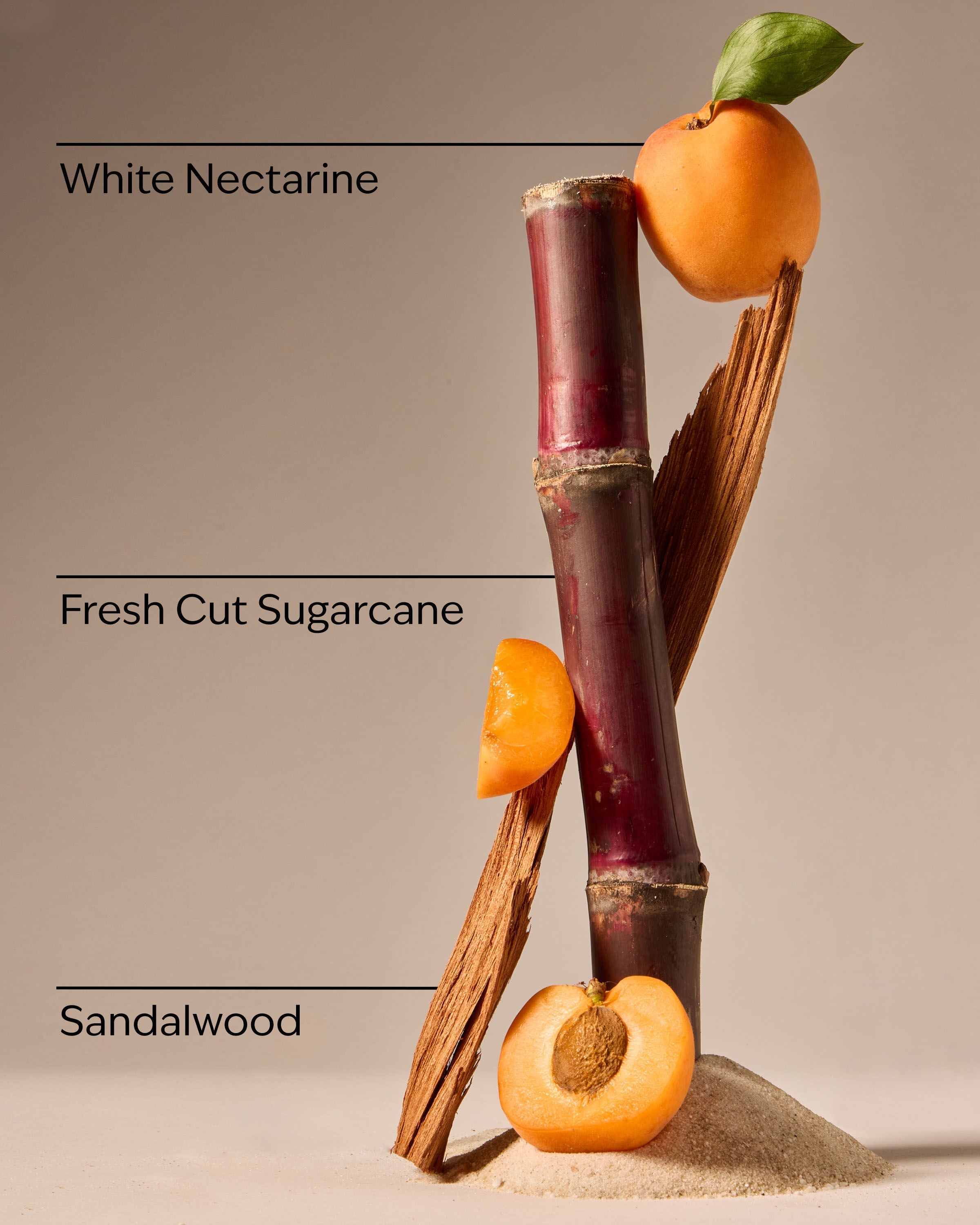 Fiji White Sands Car Fragrance Refill