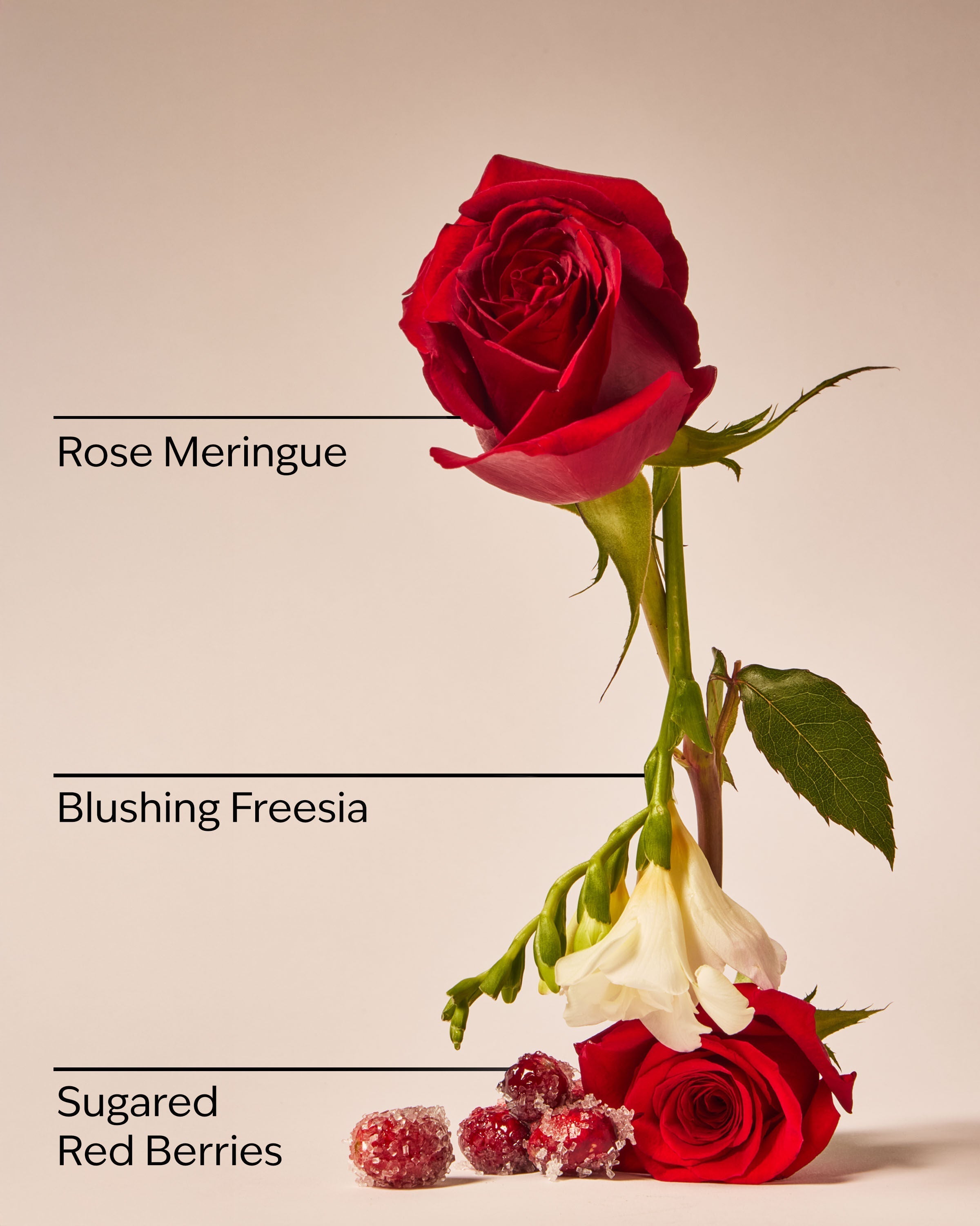 Gingham Love Fine Fragrance Mist