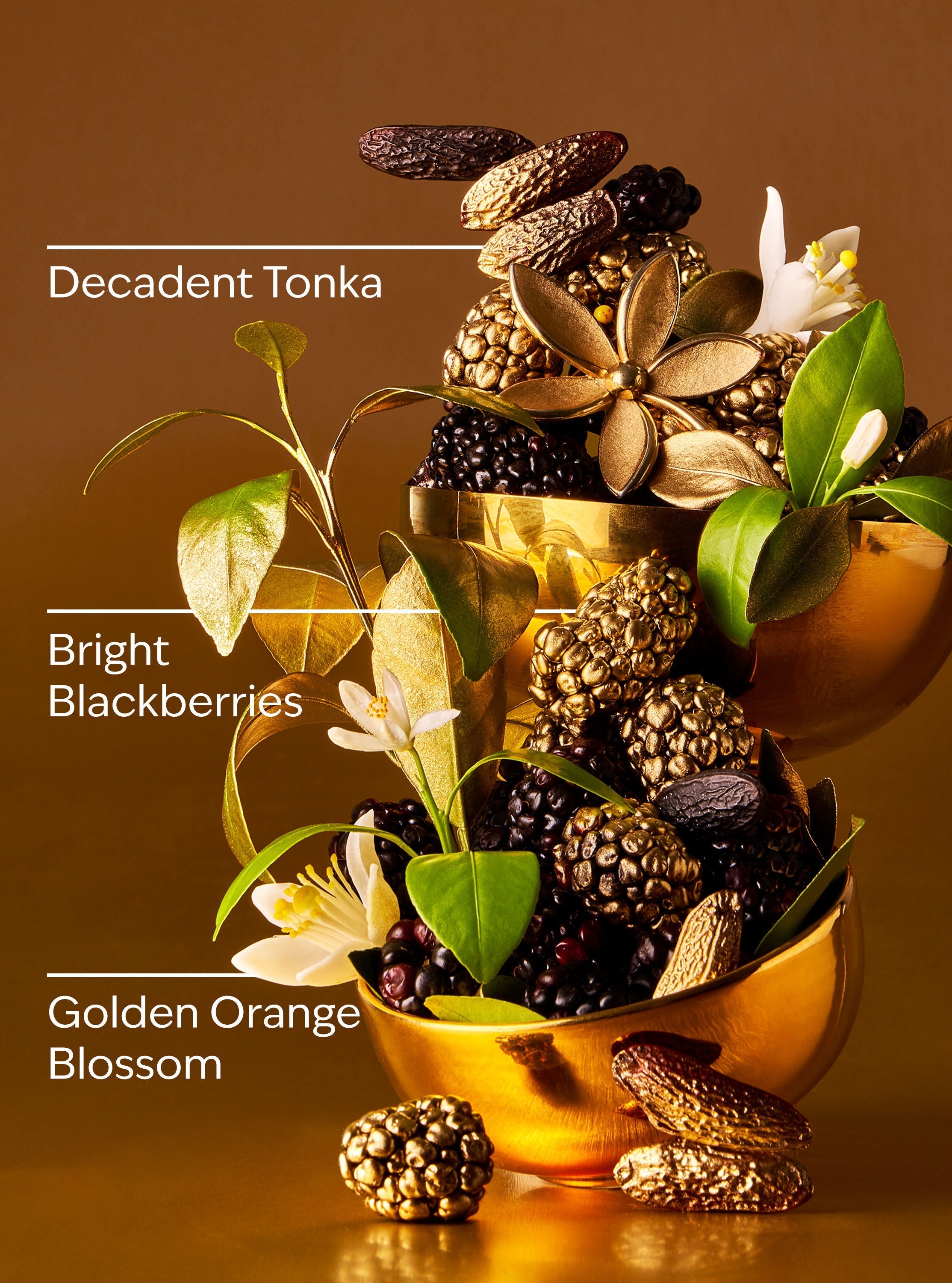 Touch of Gold Lip Gloss