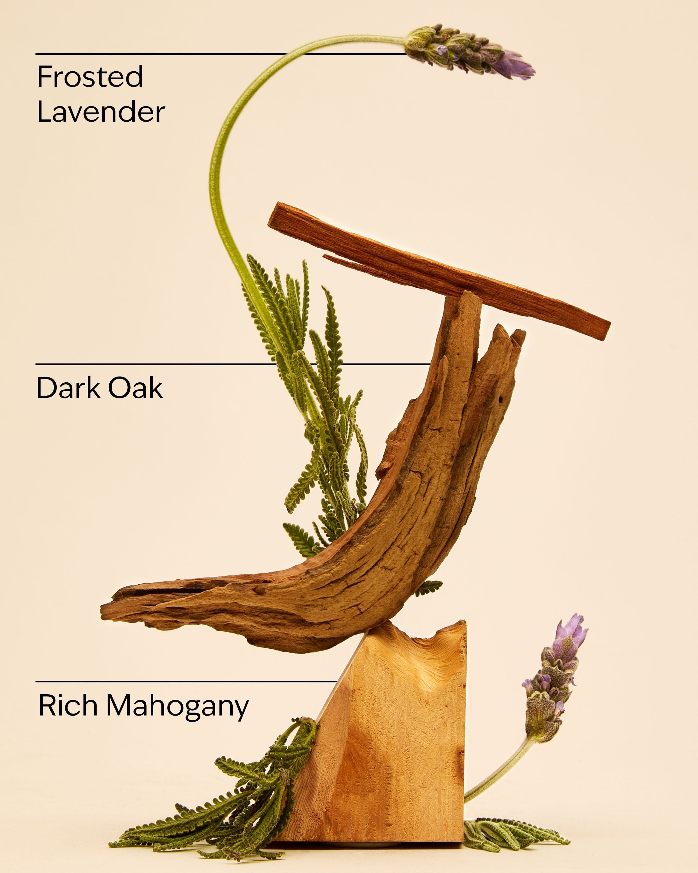 Mahogany Teakwood Hanging Fragrance Diffuser