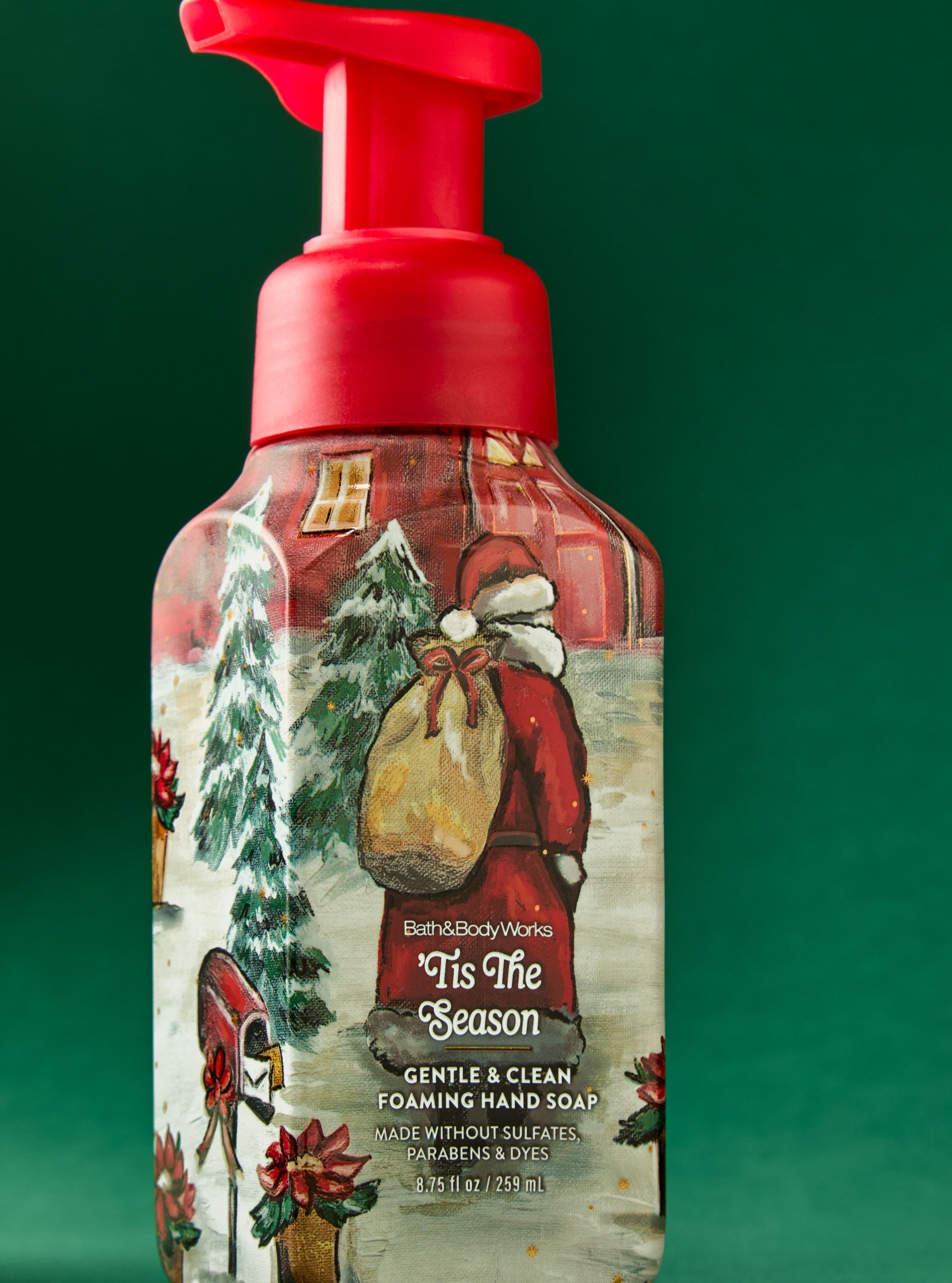 'Tis The Season Gentle & Clean Foaming Hand Soap