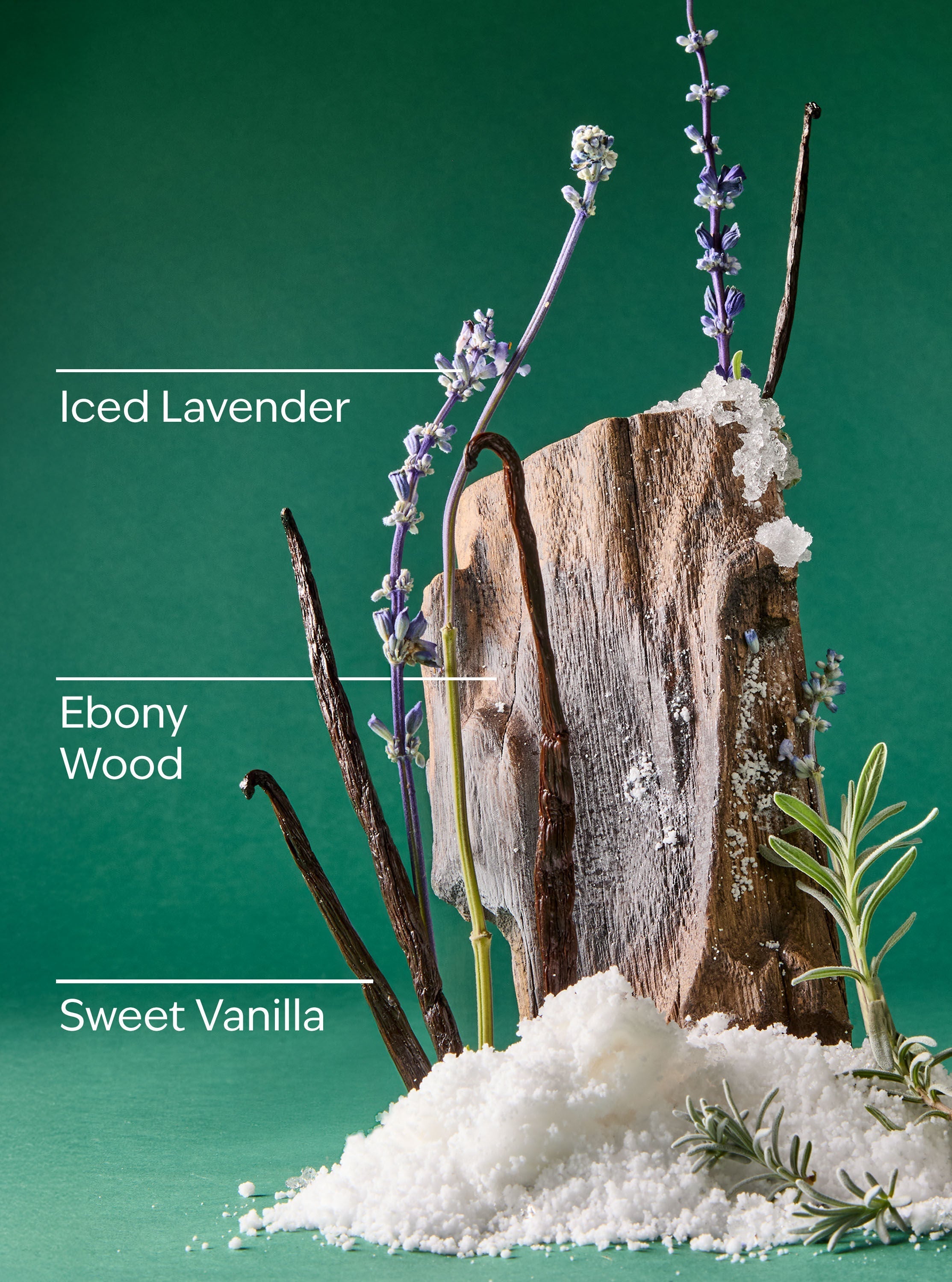 Iced Vanilla Woods Wallflowers Fragrance Refill