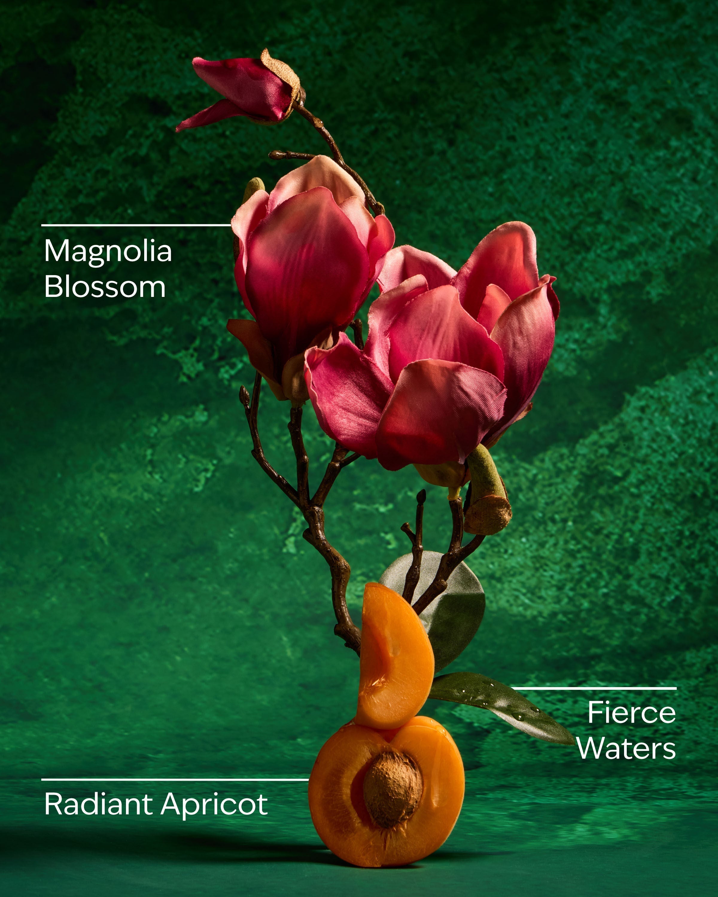 Mulan PocketBac Hand Sanitizer