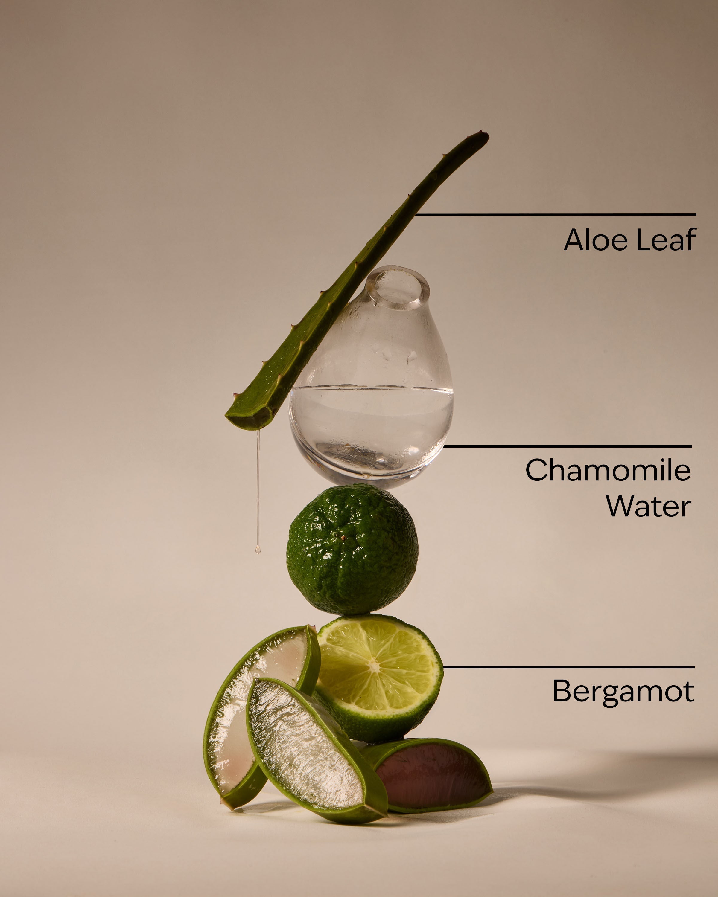 Fresh Rainfall PocketBac Hand Sanitizer