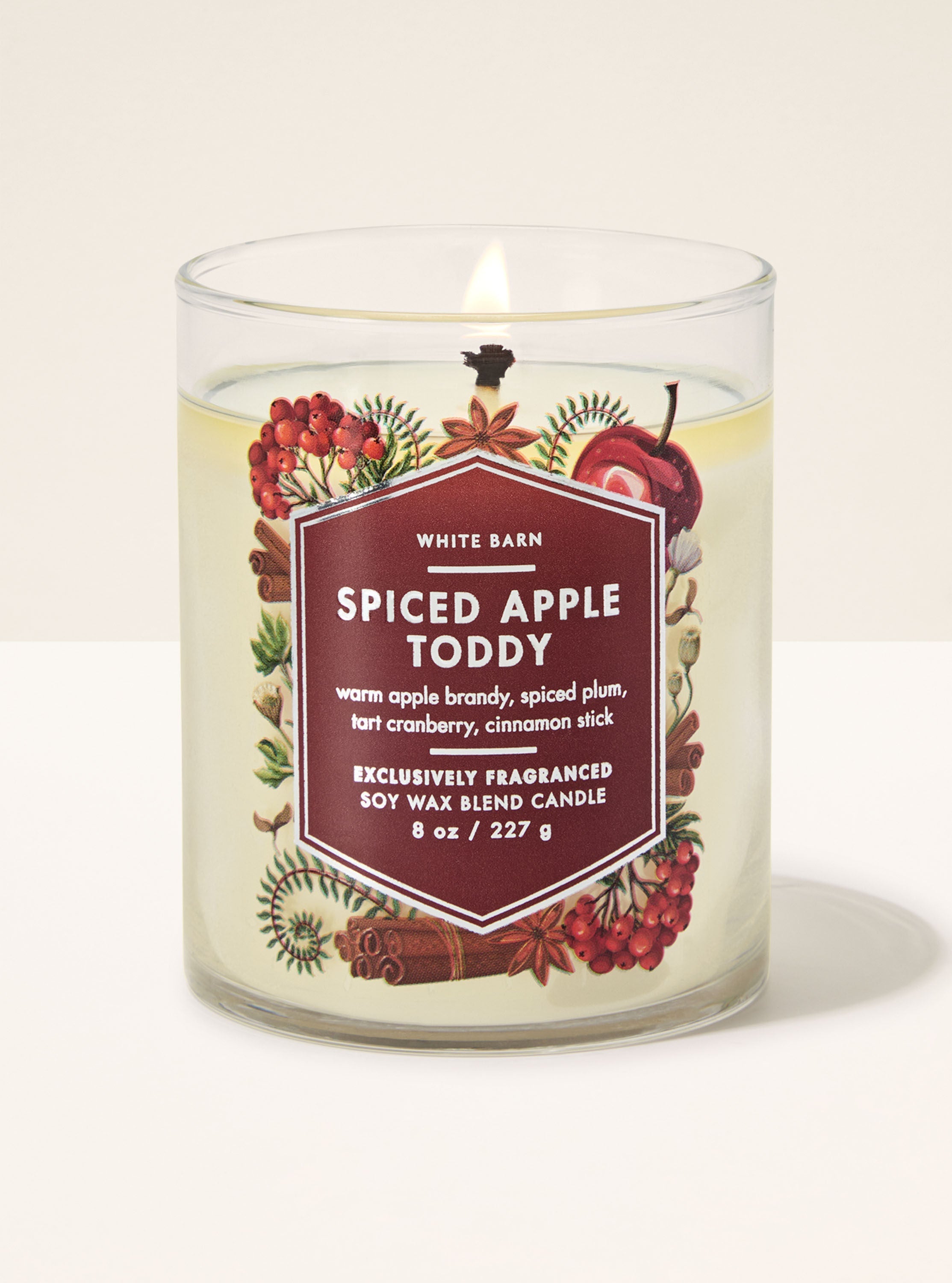 Spiced Apple Toddy Single Wick Candle