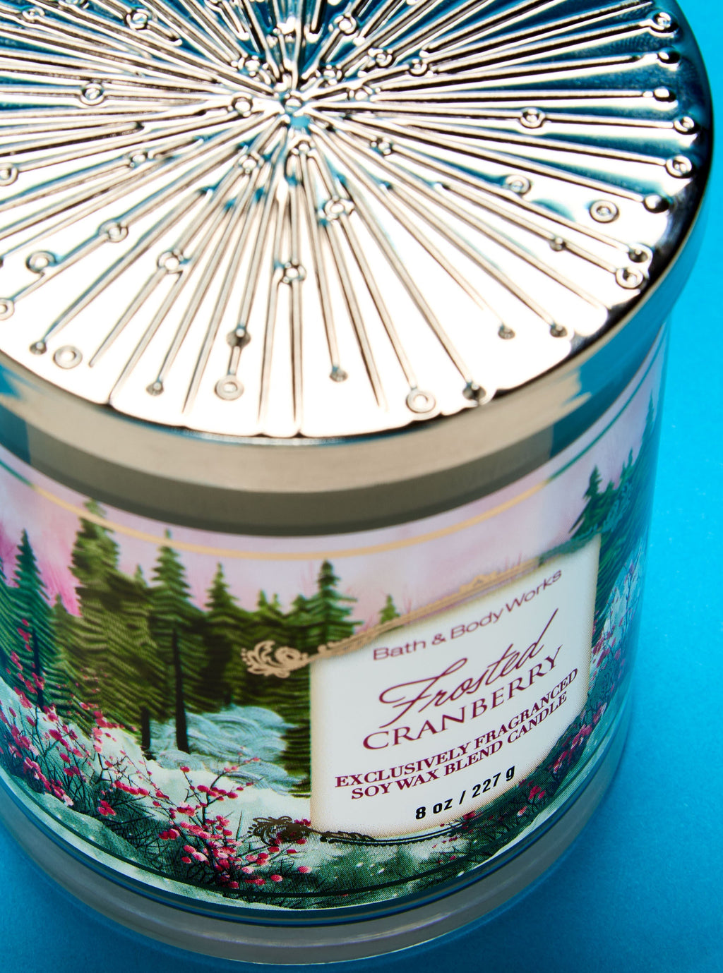 Frosted Cranberry Single Wick Candle