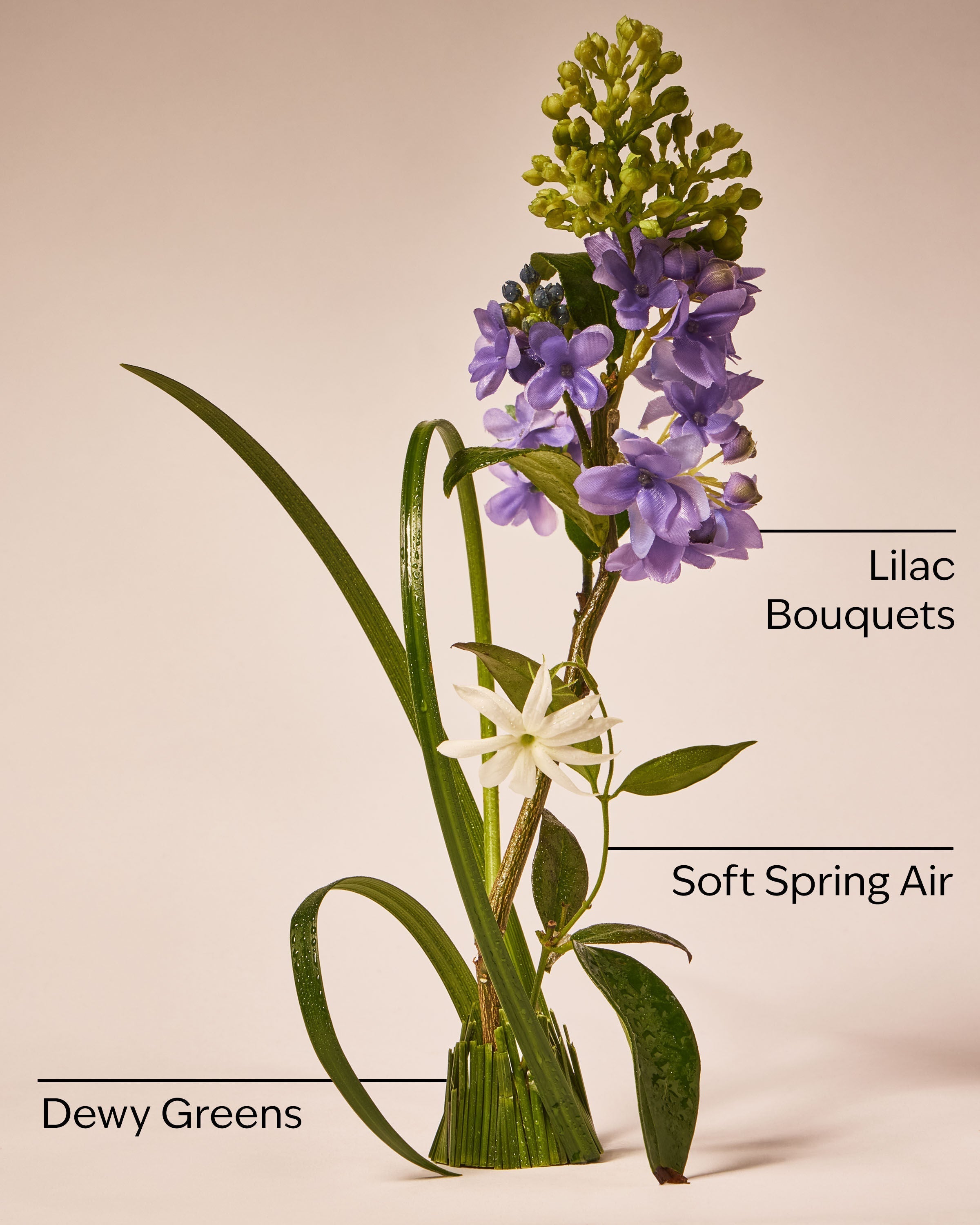 Fresh Cut Lilacs Laundry Detergent