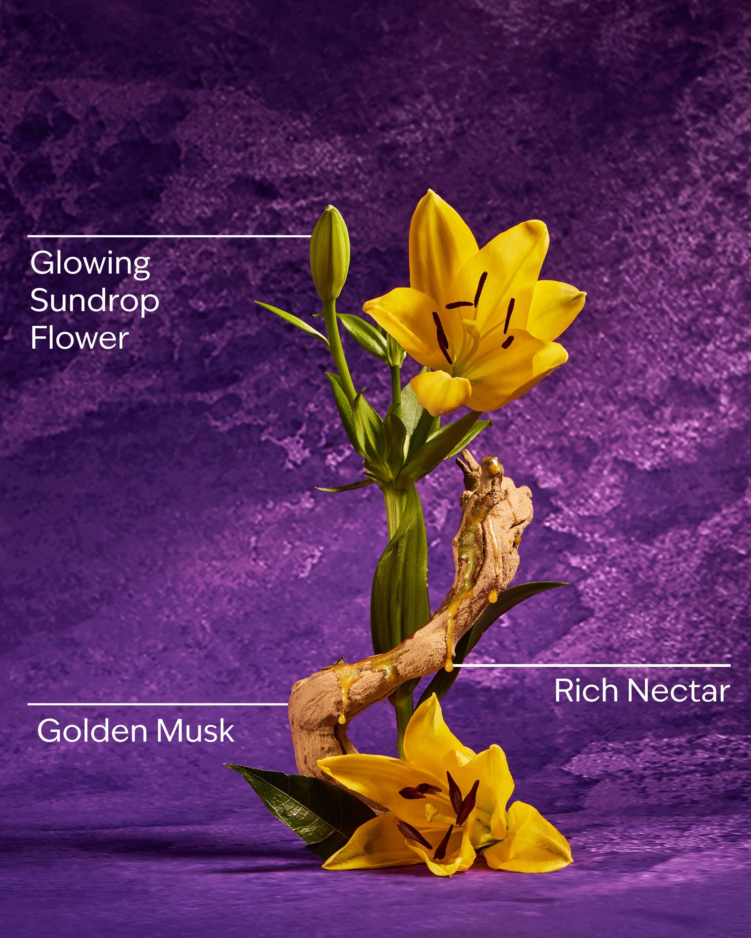 Rapunzel Ultimate Hydration Body Cream