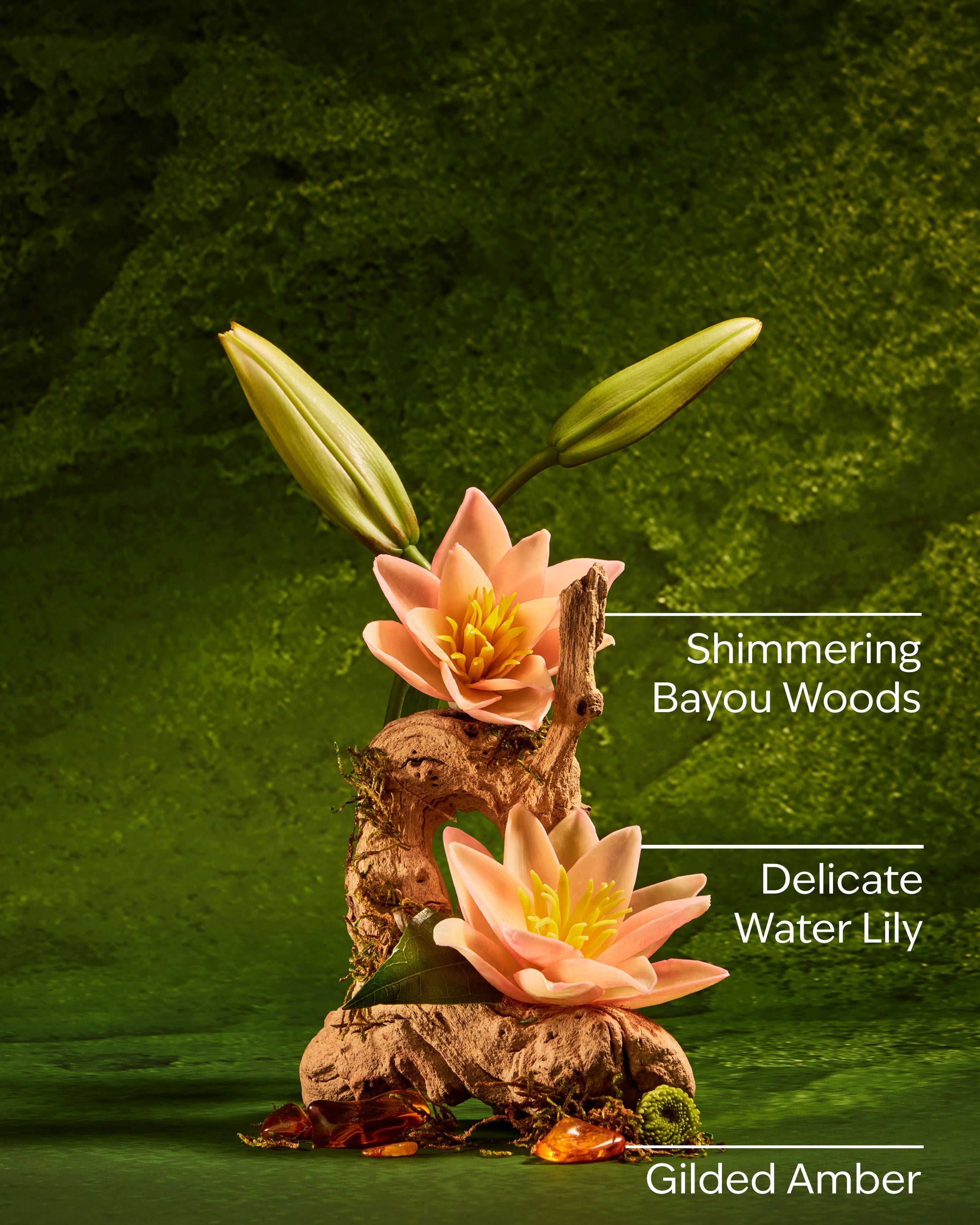 Tiana Ultimate Hydration Body Cream