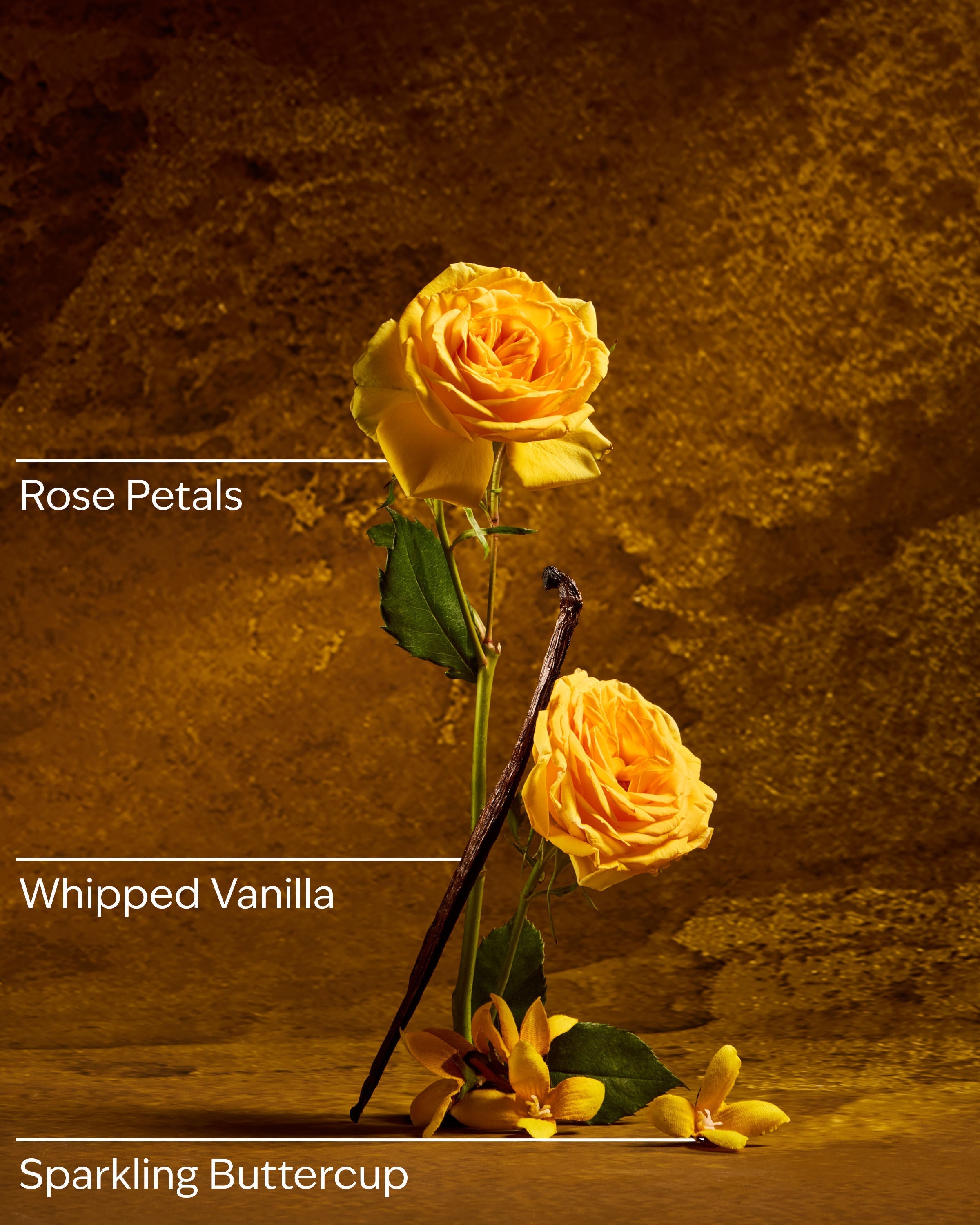 Belle Ultimate Hydration Body Cream