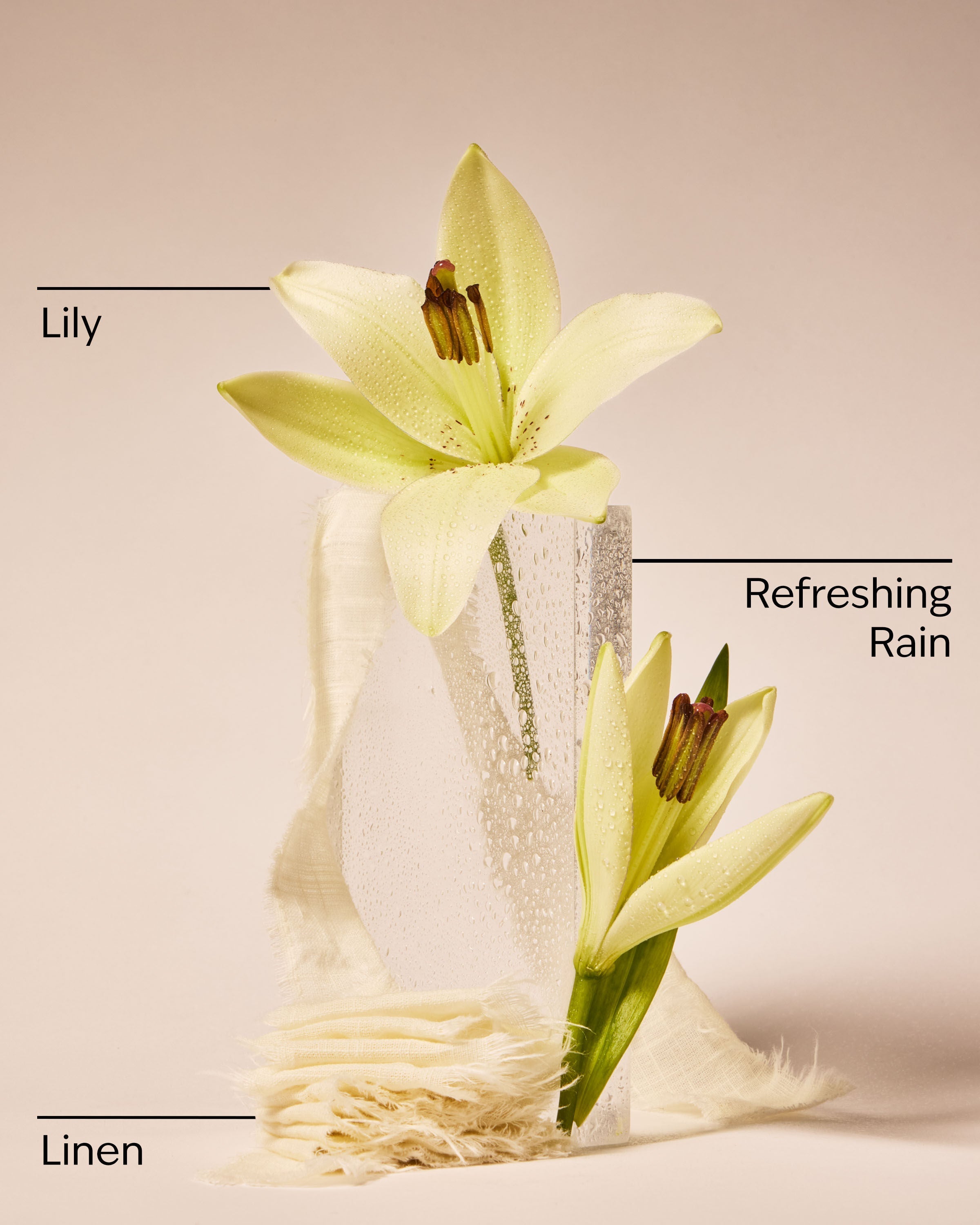 Fresh Rainfall & Linen Wallflowers Refills 2-Pack