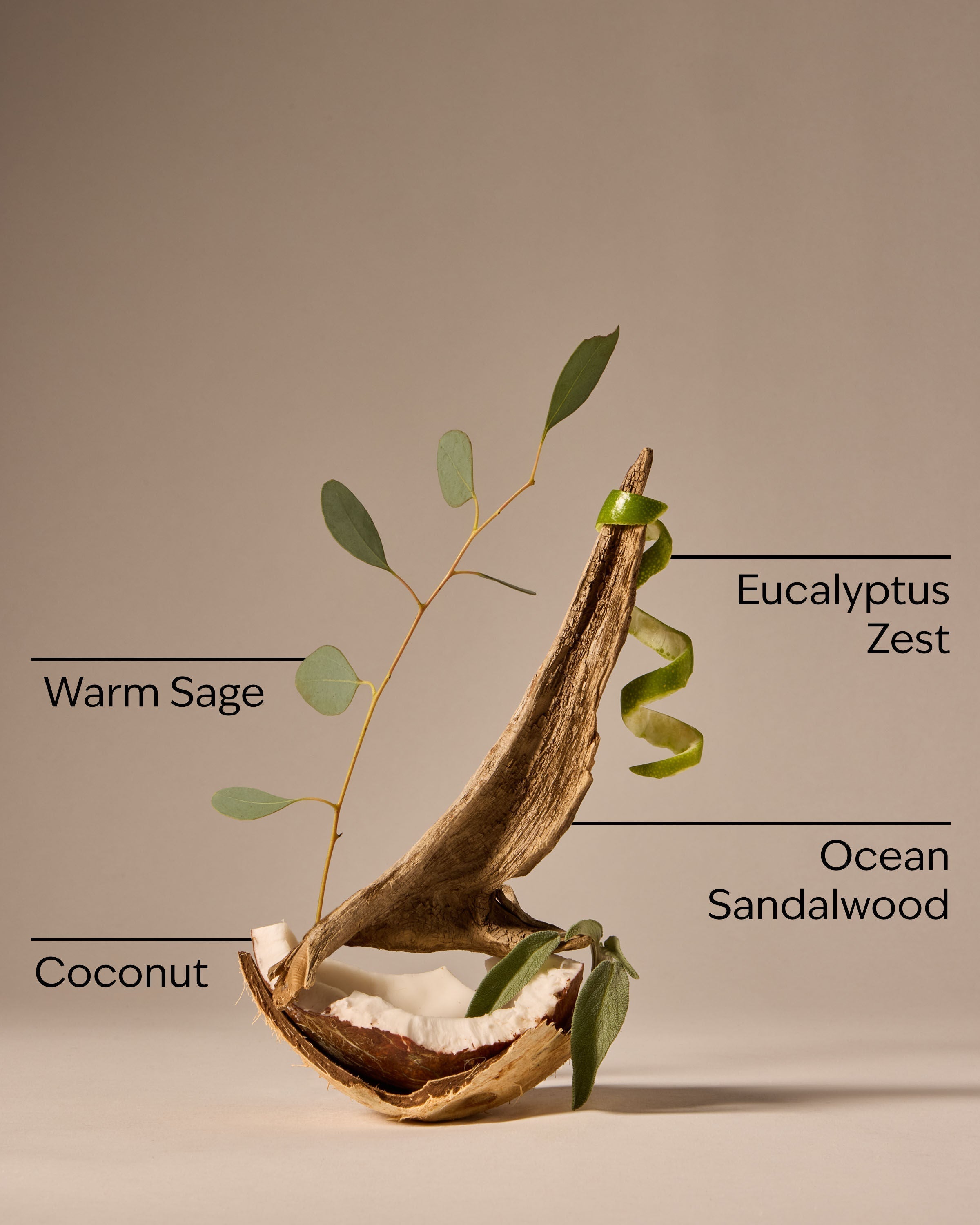 Warm Ocean Breeze Single Wick Candle