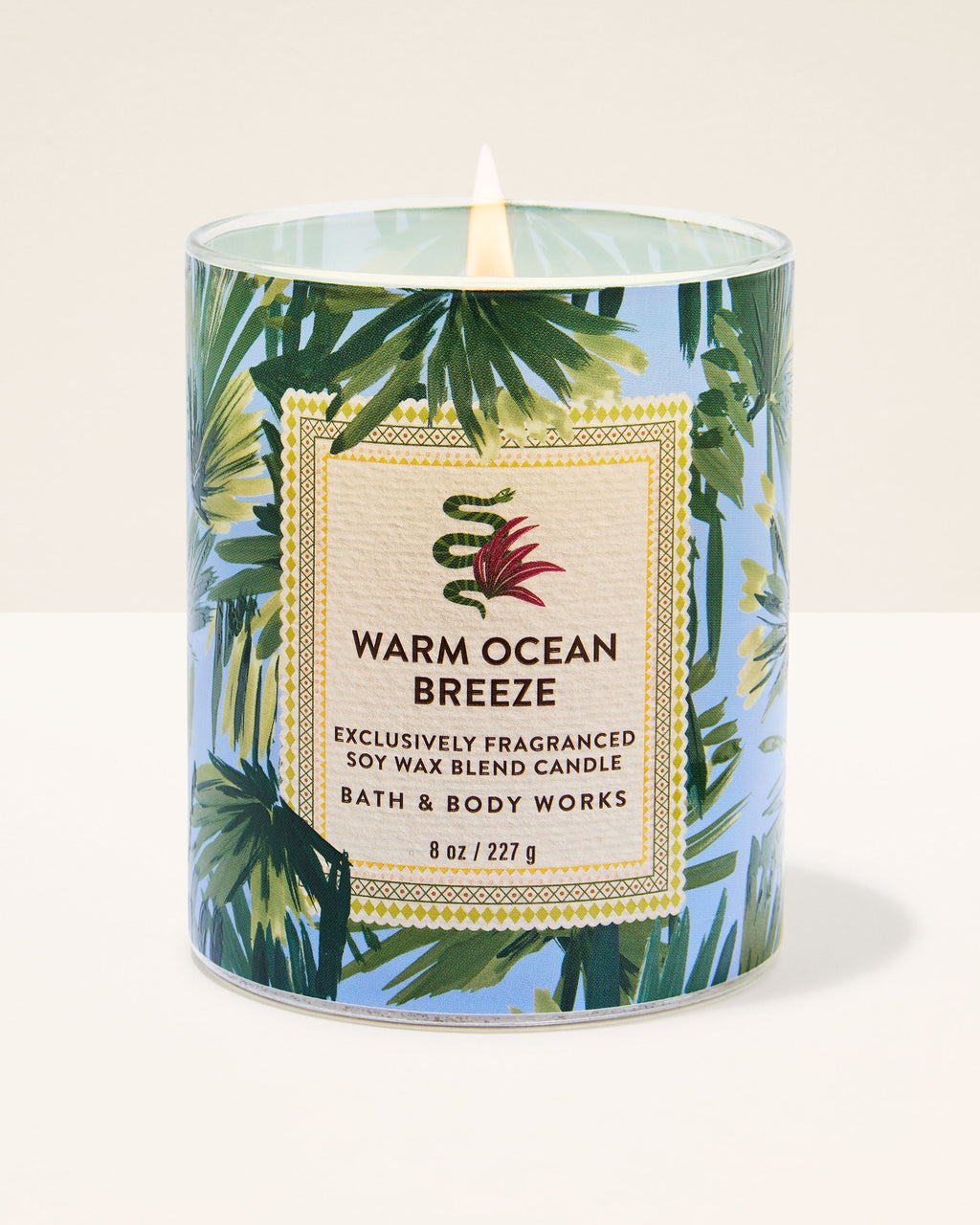 Warm Ocean Breeze Single Wick Candle
