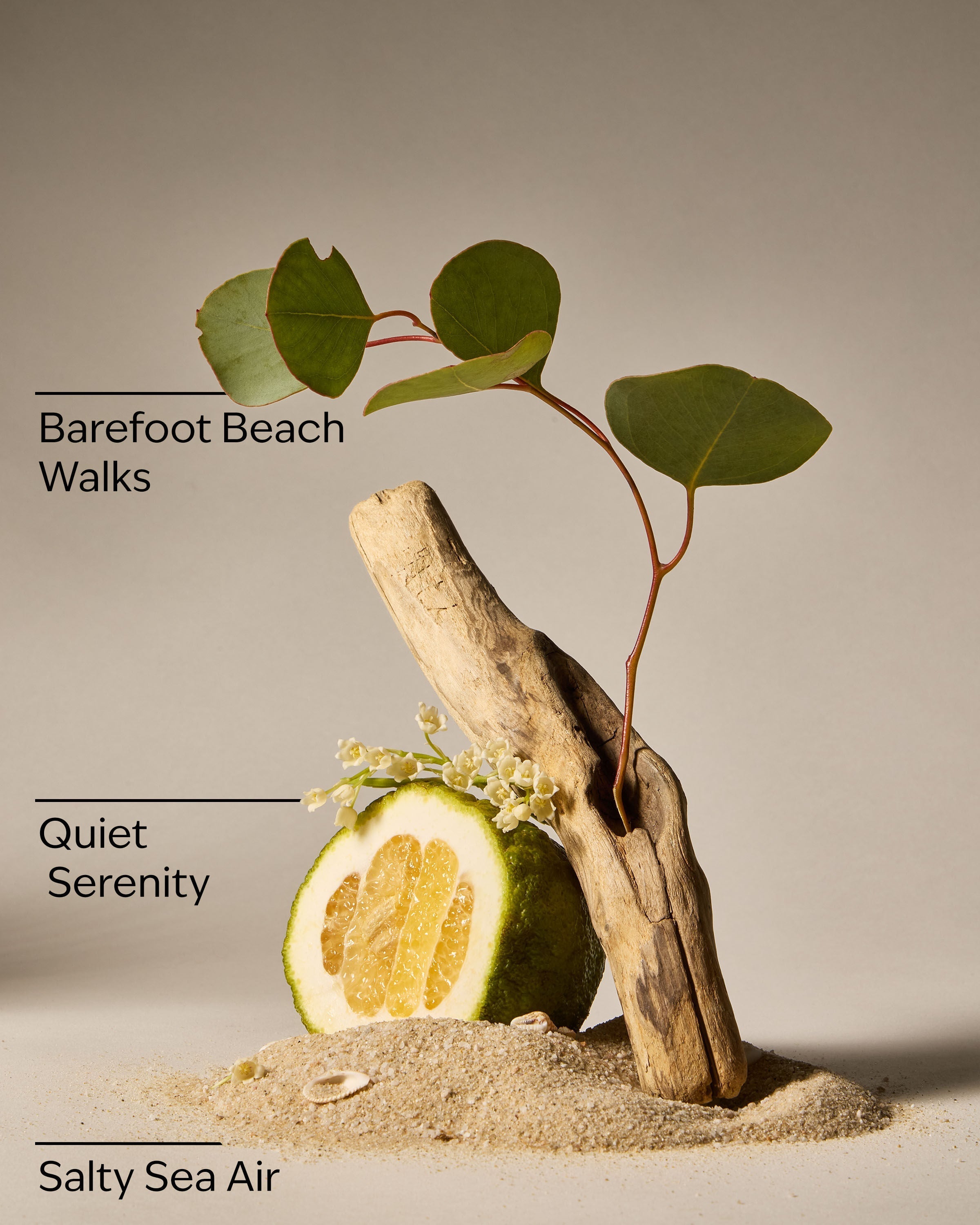 Ocean Town Bound Wallflowers Fragrance Refill