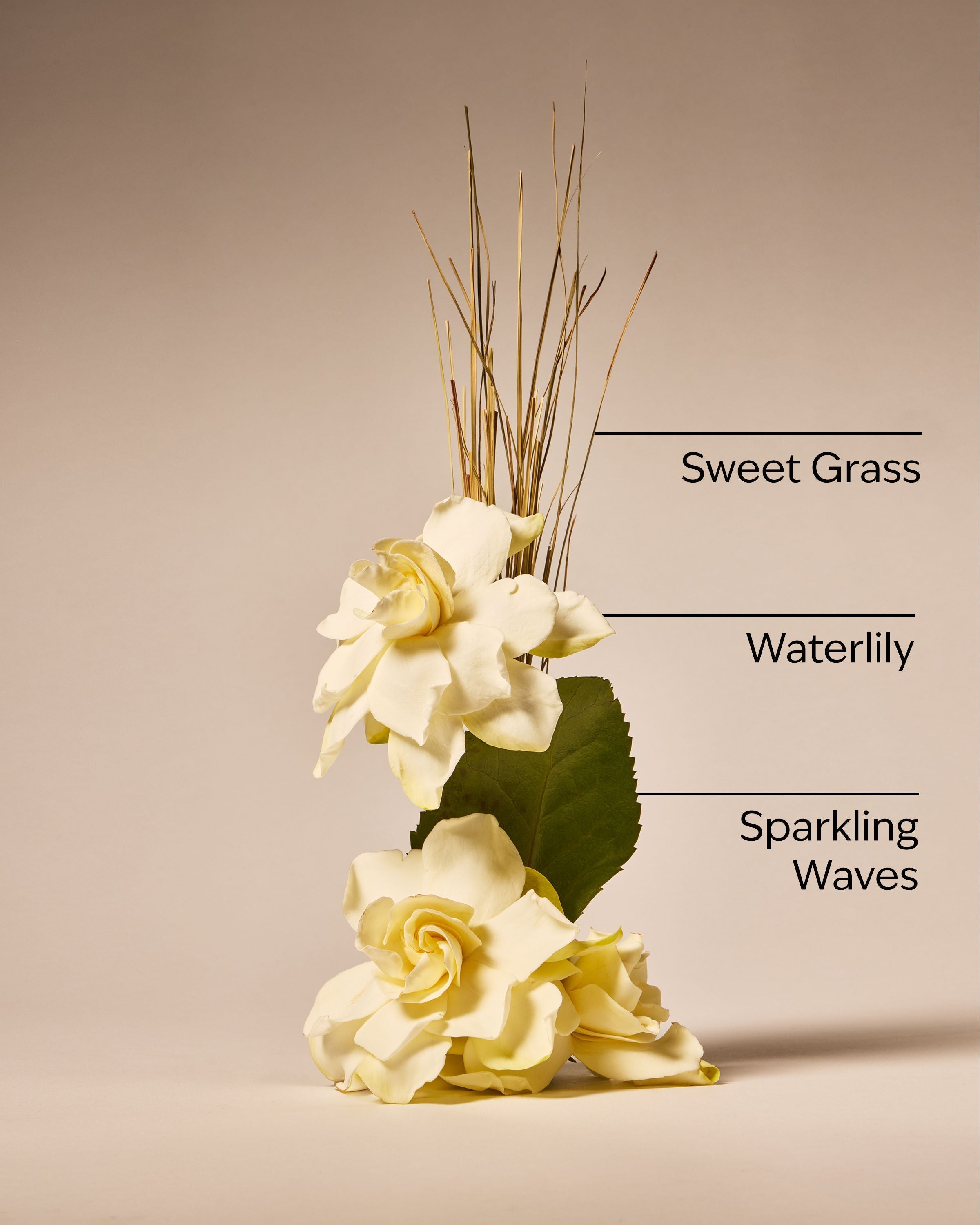 Seagrass Serenity Wallflowers Refills 2-Pack