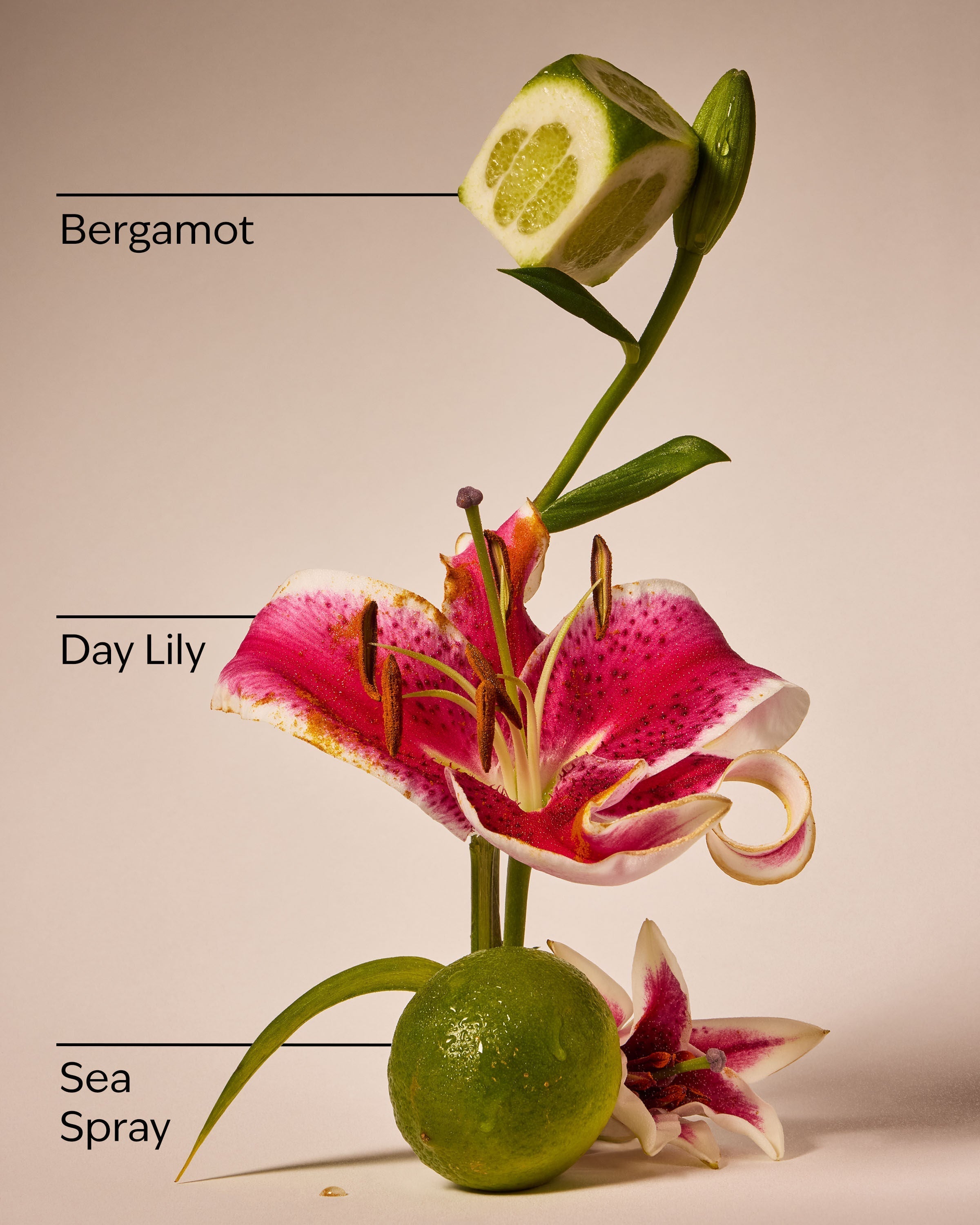 Turquoise Waters PocketBac Hand Sanitizer