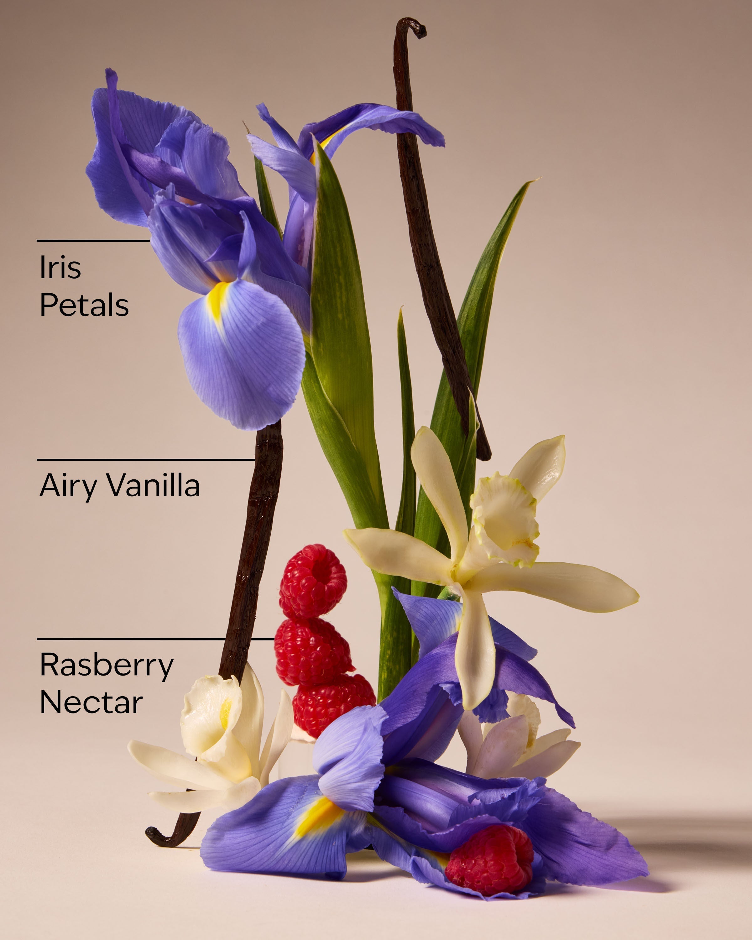 Butterfly PocketBac Hand Sanitizer